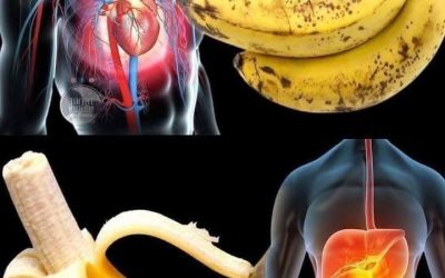 Did you know that eating bananas increases…