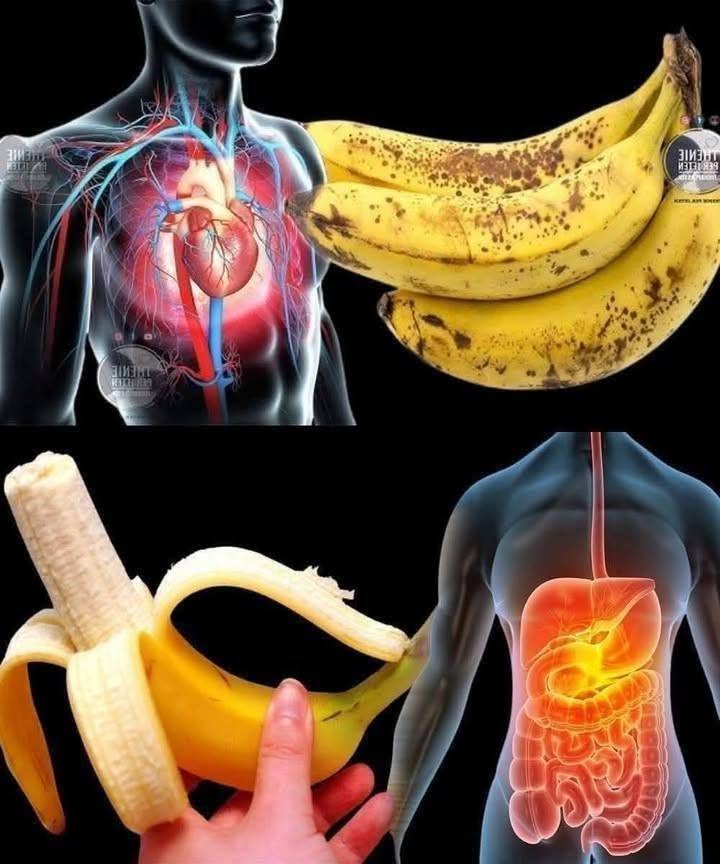Did you know that eating bananas increases…
