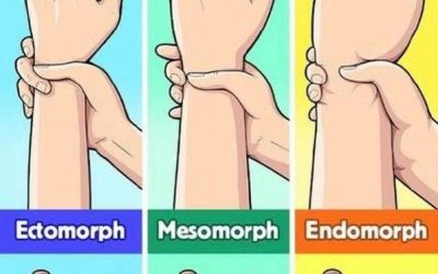 Are you an ectomorph, mesomorph, or endomorph? Discover your body type and how to make the most of it. Are you an ectomorph, mesomorph, or endomorph? Discover your body type and how to make the most of it.